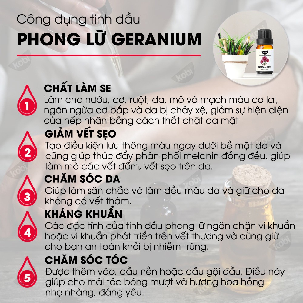 [Mã LIFEXANH24 giảm 10% đơn 99K] Tinh dầu Phong Lữ Kobi giúp thơm phòng, giảm căng thẳng - 30ml