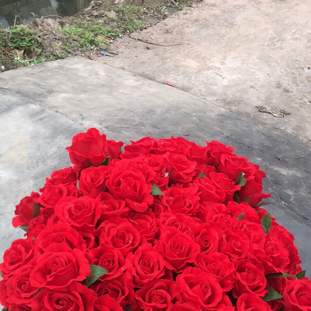 Combo 15 cành hoa hồng lụa