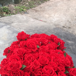 Combo 15 cành hoa hồng lụa