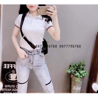 Áo phông cổ đức nữ