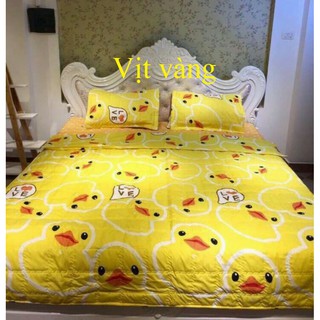 Sét 4 món chăn hè trần bông poly trái lê