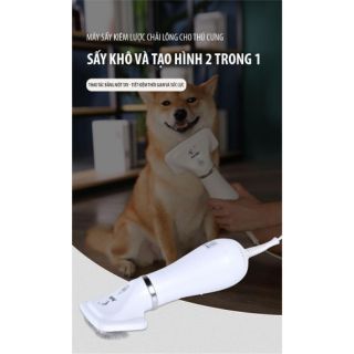 Lược sấy thú cưng