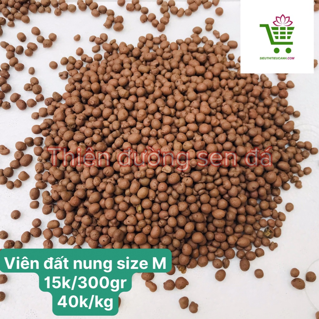 VIÊN ĐẤT NUNG, PUMICE, MASATO VÀ CÁC LOẠI ĐÁ TRỒNG SEN ĐÁ- XUỎNGONGF