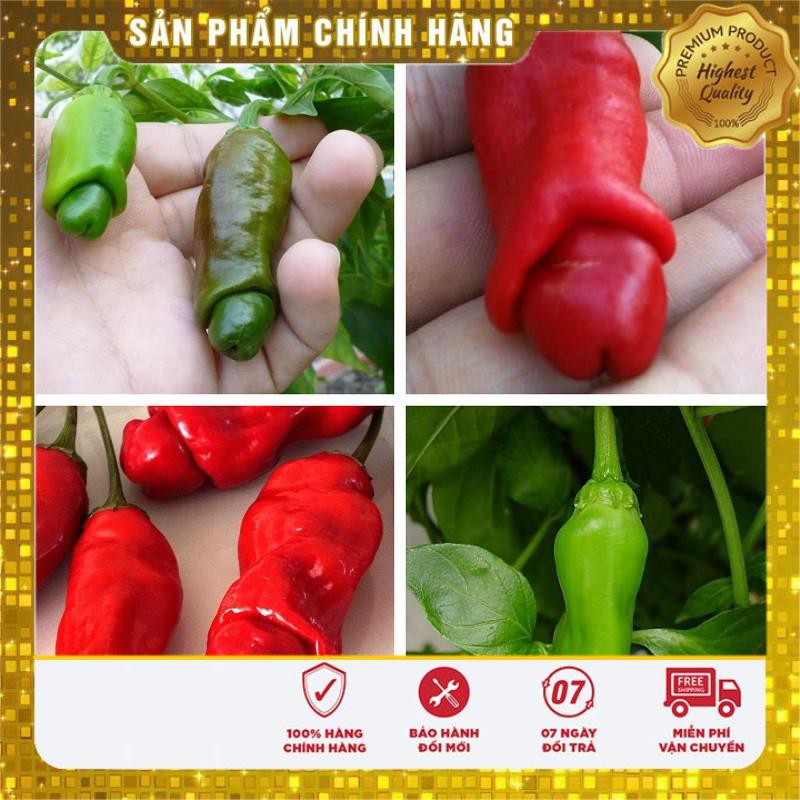 5 Hạt giống Ớt Cu tí (tặng gói Kích nẩy mầm và Hướng dẫn) VIETSEED