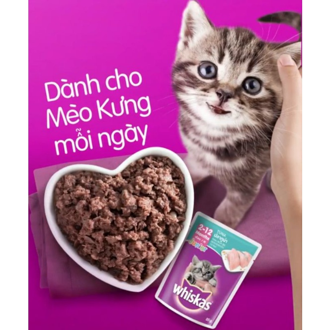 Pate Cho Mèo Lớn, Pate cho mèo con,  Whiskas1+ Whiskas junior  túi 80g vị Cá Ngừ, Cá Thu, Cá Biển.