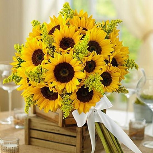 Ban Mai' shop, Cửa hàng trực tuyến | BigBuy360 - bigbuy360.vn