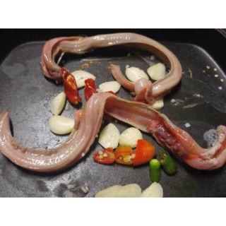 [now ship] Cá ninja. Viagar của PHÁI MẠNH