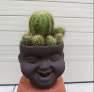 Chậu đất nung Tí sún size nhỏ (8x8cm)