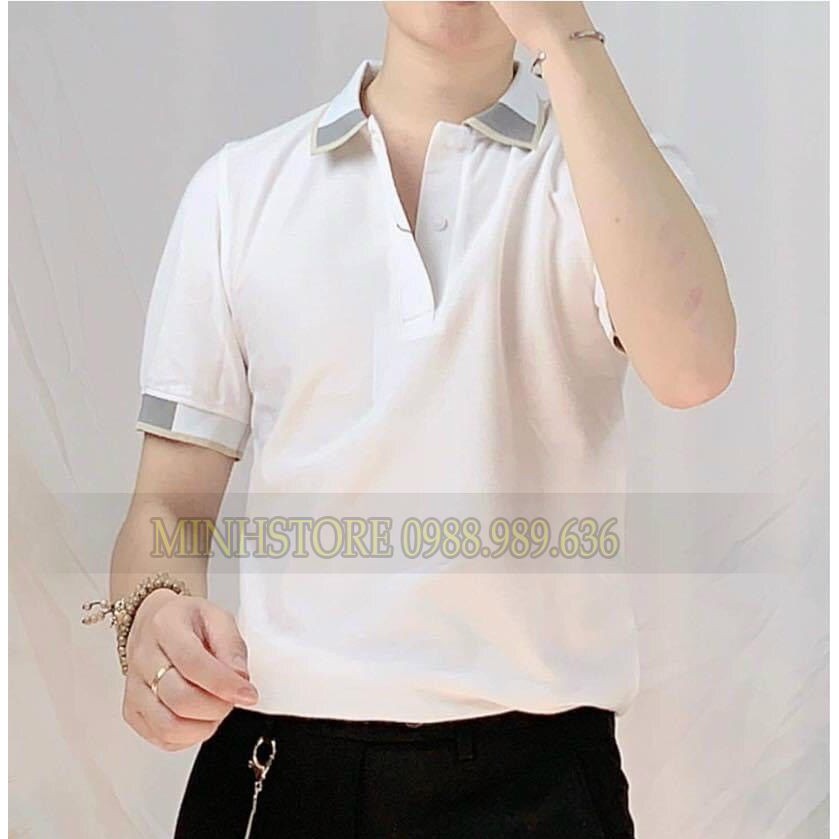 Áo polo nam GẤU Áo polo nam đẹp Chất liệu cotton mềm mịn, dầy dặn, hoạt động thoải mái, thấm hút mồ hôi tốt | BigBuy360 - bigbuy360.vn