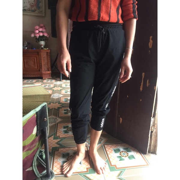 combo c lẻ nhật thuy