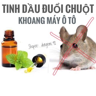Tinh dầu chống, đuổi chuột khoang máy ô tô