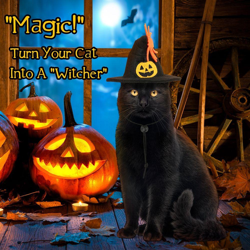 Trang Phục Hóa Trang Halloween Đáng Yêu Cho Thú Cưng