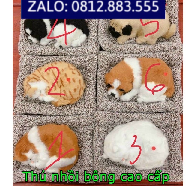 Thú nhồi bông cao cấp trang trí taplo
