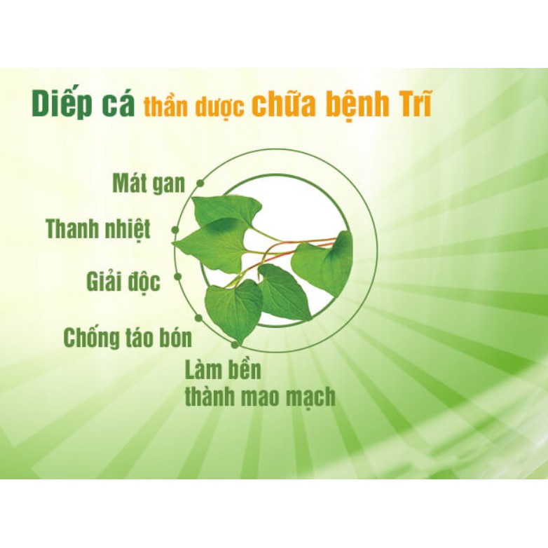 Bột Diếp Cá Quảng Thanh Nguyên Chất 100gr.