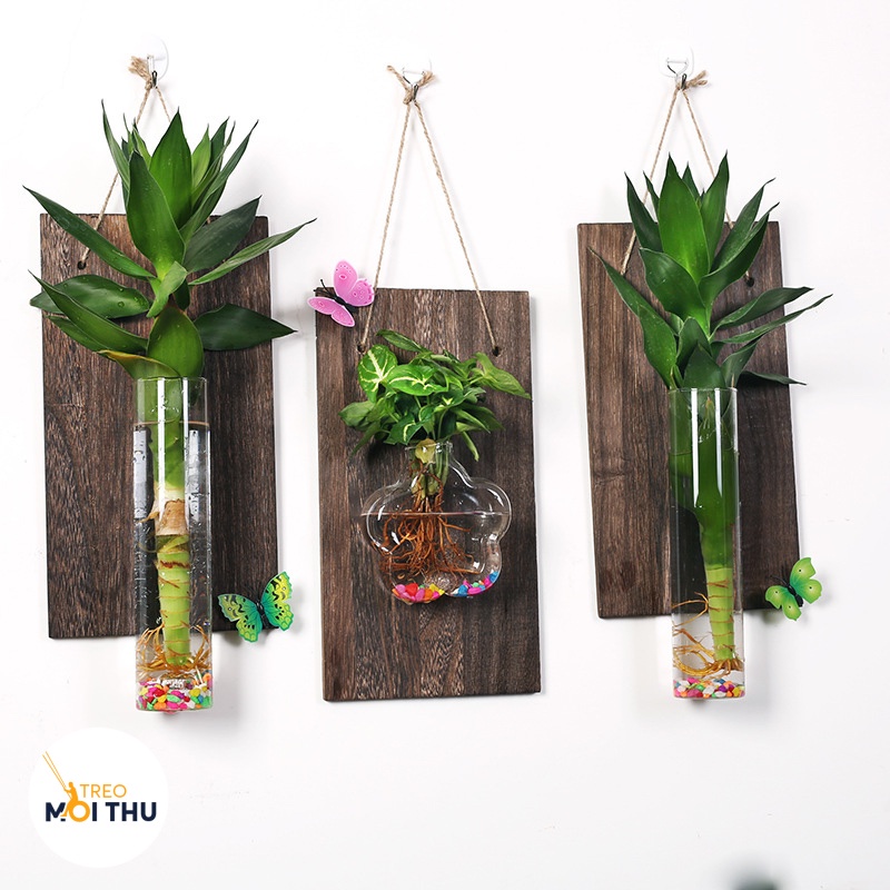 Bình Thủy Tinh Trồng Cây Thủy Sinh Treo Tường - Siêu nhẹ - Tặng kèm bảng gỗ, móc treo - VASE02