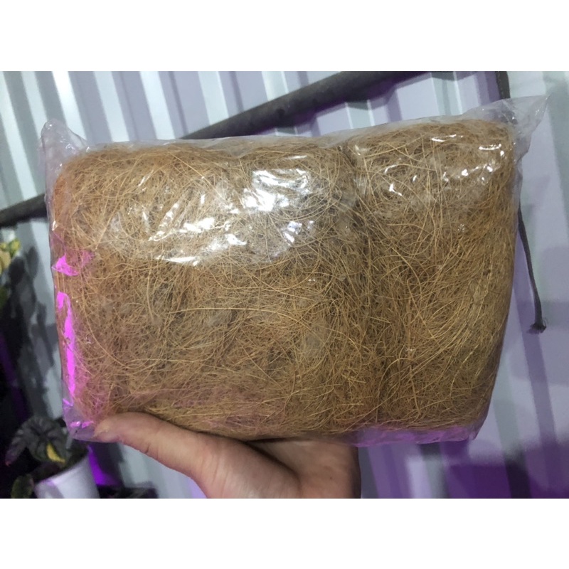 Xơ dừa sợi đã xử lý chát, giá thể trồng lan, kiểng lá