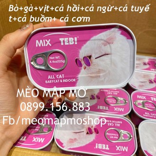 PATE TEB MIX 125g / hộp ( chọn màu trong ghi chú )
