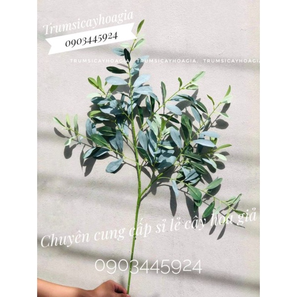 Cành lá oliu xịn cắm điểm-Cam kết chuẩn đẹp Sai shop sẽ hoàn tiền