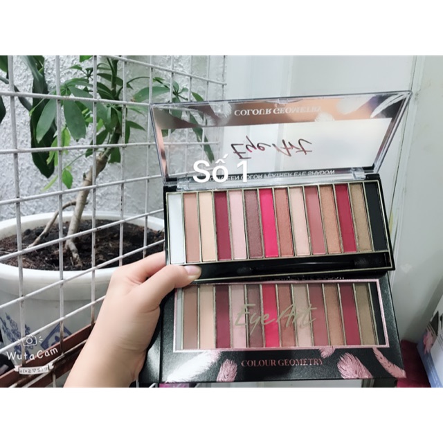 🌸Phấn mắt Eye Art cao cấp ( hàng hiếm - số lượng có hạn nhanh tay nha chị em )