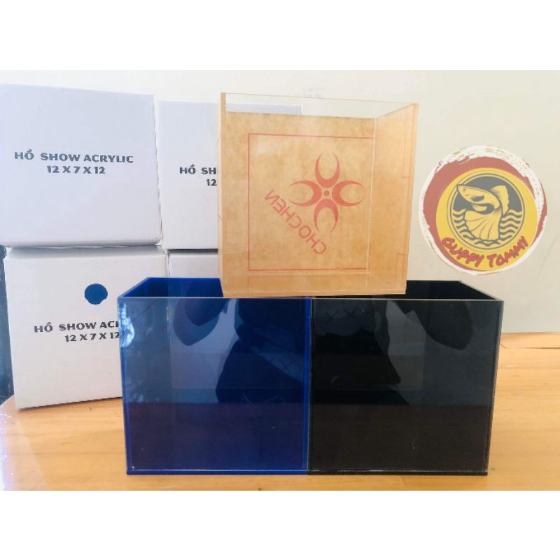 Hồ Show Acrylic Siêu Trong | Bể CÁ Mini Dùng Để Show Guppy, Betta