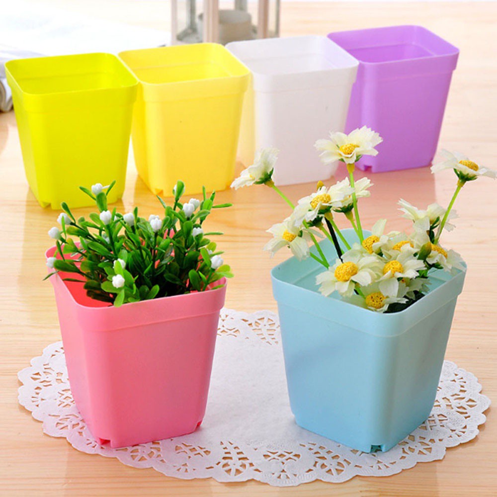 Chậu Nhựa Trồng Cây Mini Nhiều Màu