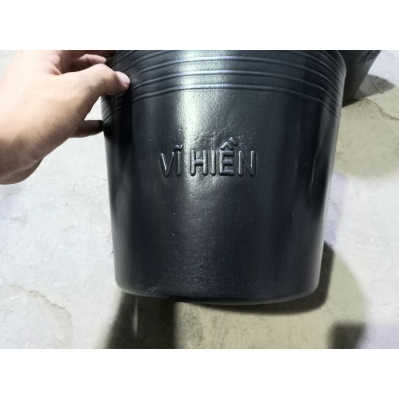 Chậu Nhựa C10 Có Lỗ Trồng Cây , Rau Sạch 10L