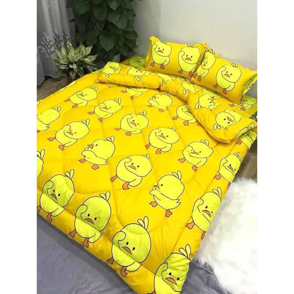 Chăn Phao Cotton Poly 1m8x2m
