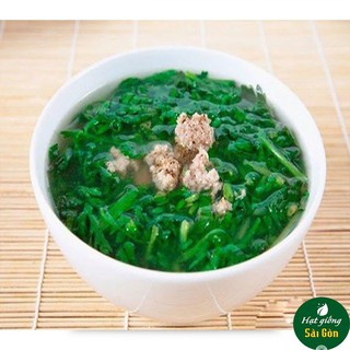 Hạt Giống Cải Đuôi Phụng