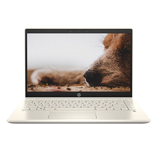 Laptop HP Pavilion 14-dv0510TU 46L79PA (Core i5-1135G7 | 8GB | 512GB | Intel Iris Xe | 14 Inch FHD | Win 11 | Vàng) | WebRaoVat - webraovat.net.vn