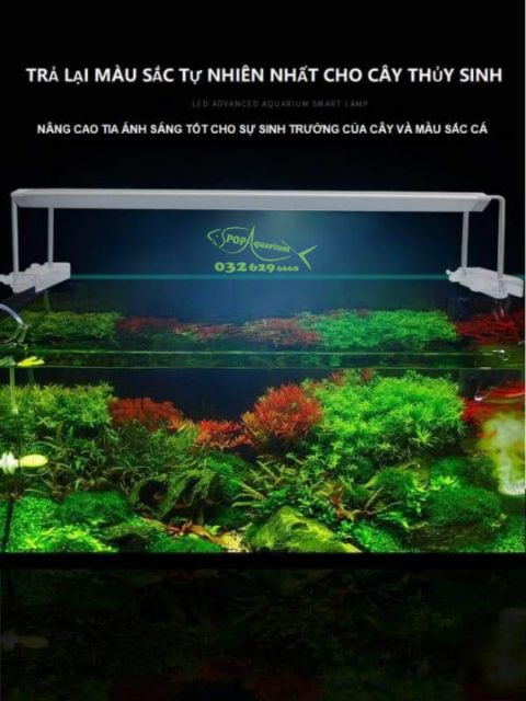 Đèn Aquablue RGB Smart cho bể cá thủy sinh