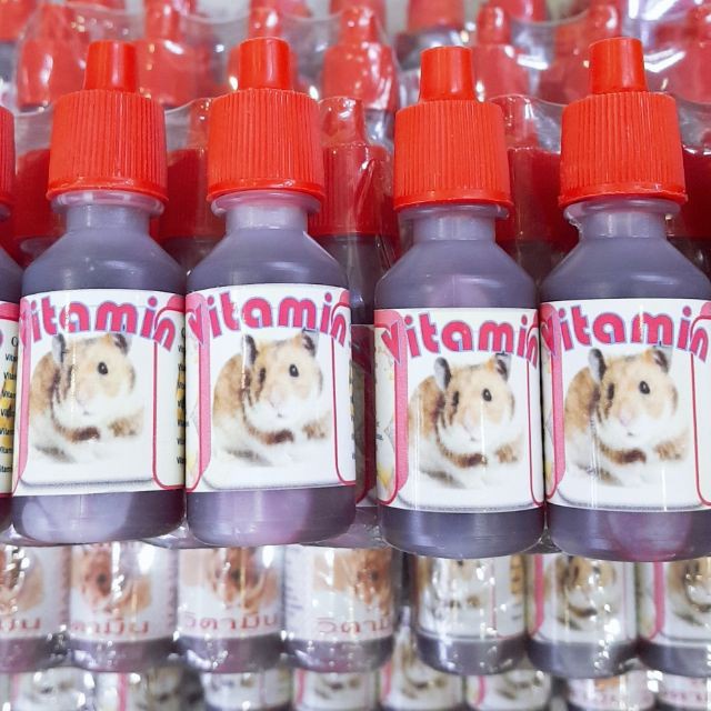 Vitamin Tiêu Hóa Cho Chuột Hamster