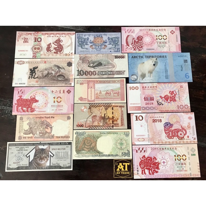 Tiền lưu niệm con giáp Heo Chó Trâu Macao đỏ ma cau dùng làm quà tặng tiền lì xì may mắn