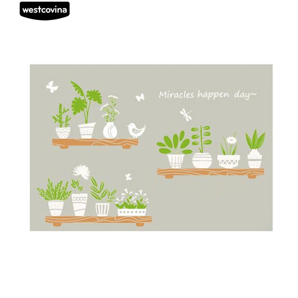 Giấy dán tường họa tiết cây bonsai xinh xắn