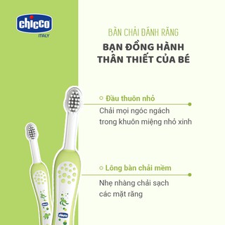 Bàn chải đánh răng cho bé chicco bướm hoa + rùa con