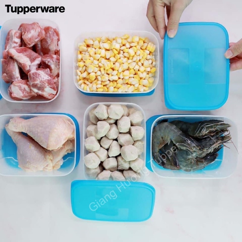 Lẻ hộp trữ đông Tupperware đủ size - Hàng chính hãng Tupperware Việt Nam phân phối