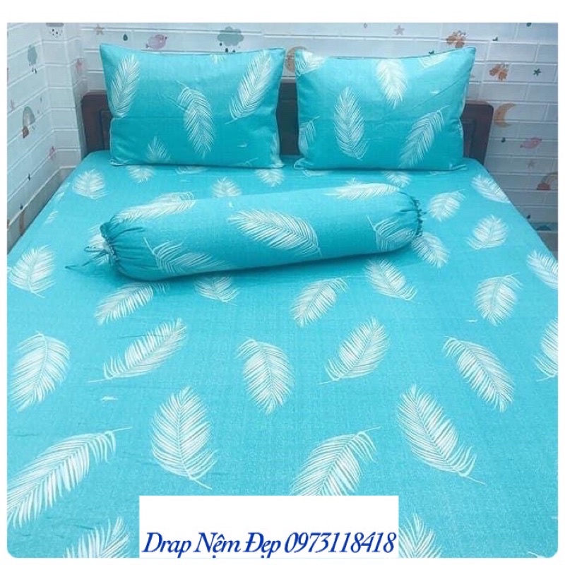 Ga gối thắng lợi cotton 100% hàng chính hãng 1m6 x2m,1m8 x 2m{chân nệm <15cm}