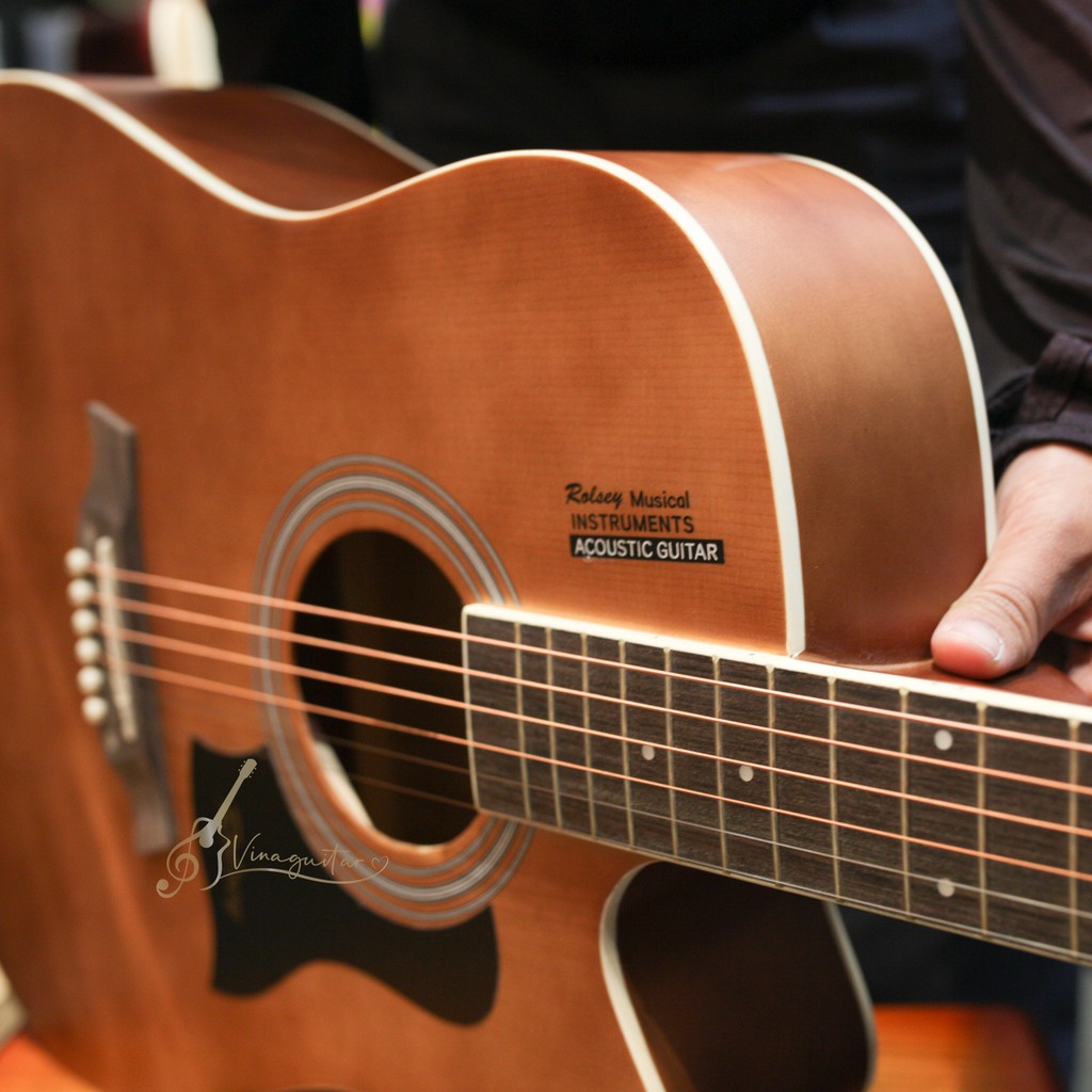 Đàn Guitar Acoustic R550 Mặt Gỗ Thịt- Tặng 12 phụ kiện