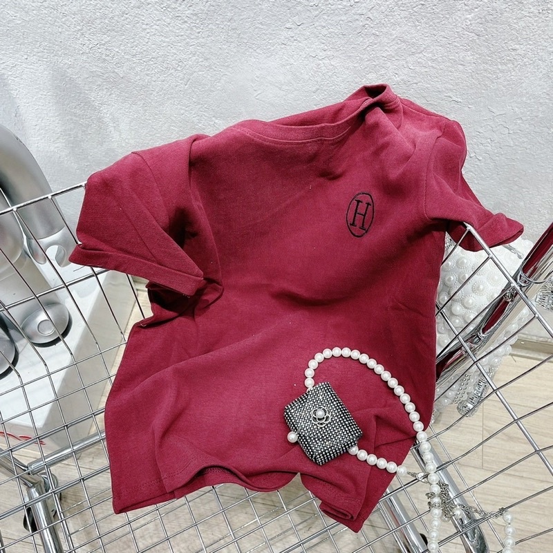 APN93 -  ÁO PULL CỘC TAY THÊU CHỮ H 4 MÀU CHO NỮ