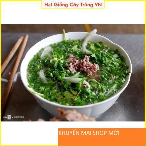 Hạt giống Hành Lá Dễ Trồng - Gói 1 Gram khuyến mại shop mới