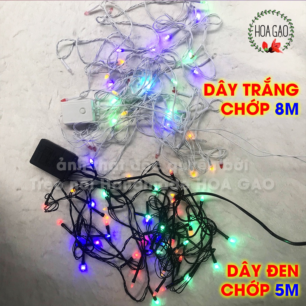 Dây đèn led trang trí sinh nhật noel Tết CHỚP đủ màu 8m 5m  décor HOA GẠO RV2 4 chế độ chớp đầu kim cương nhọn