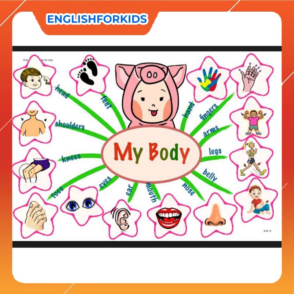 Tranh sơ đồ tư duy mindmap tiếng anh 30 chủ đề cho bé học tập - English For Kids
