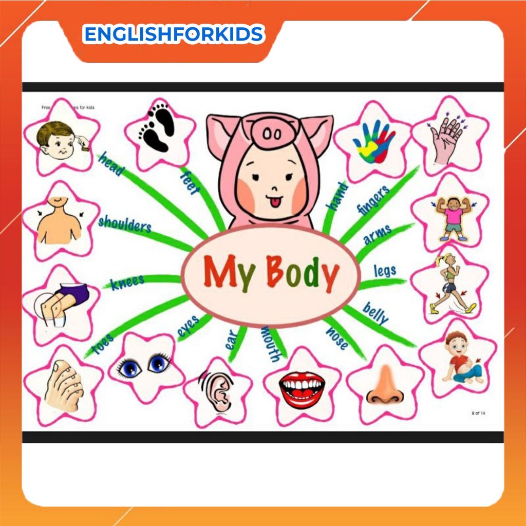 Tranh sơ đồ tư duy minmap 30 chủ đề cho bé học tập - English For Kid