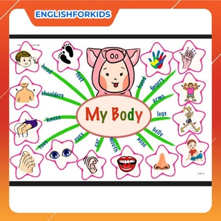 Tranh sơ đồ tư duy mindmap tiếng anh 30 chủ đề cho bé học tập - English For Kids