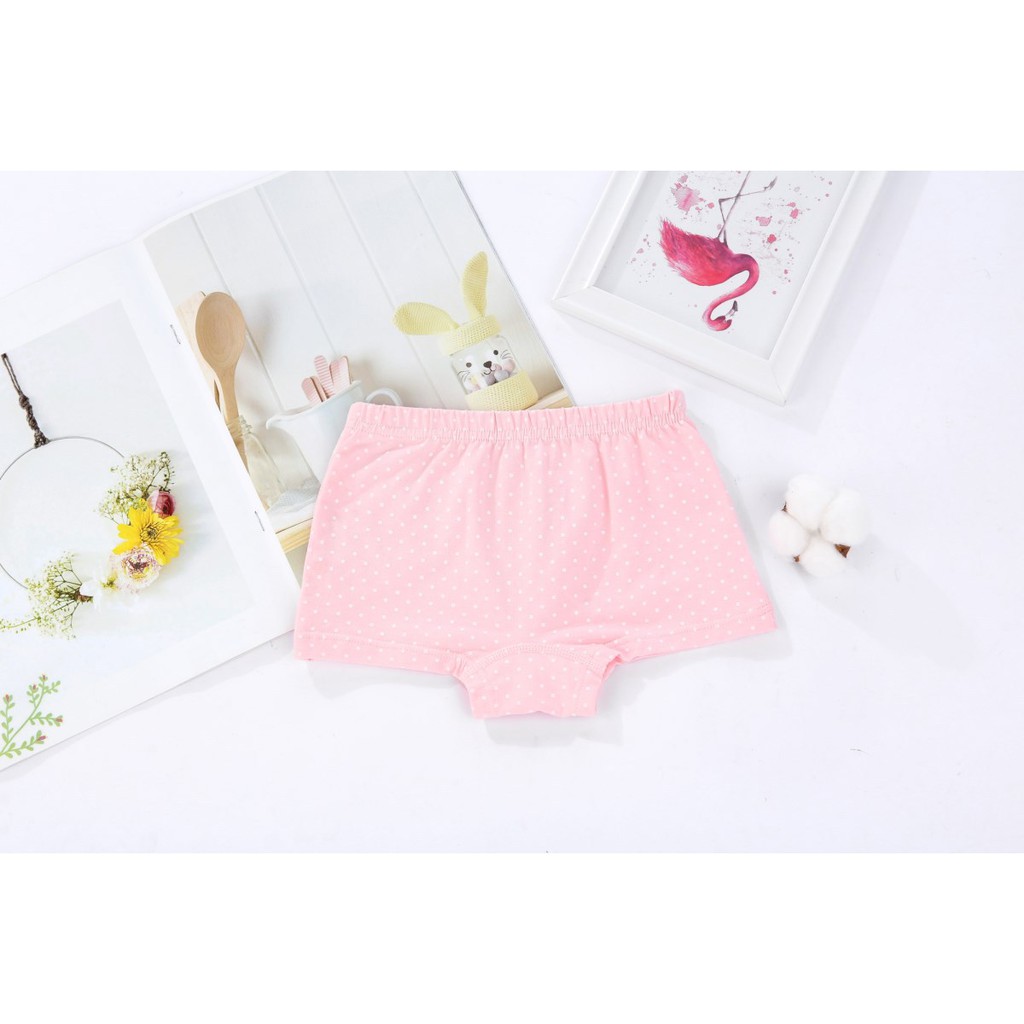 Combo Hộp 4 quần lót dạng đùi vải cotton Hàn Quốc cho bé gái mẫu Giấc Mơ Ngọt Ngào Sweet Dream