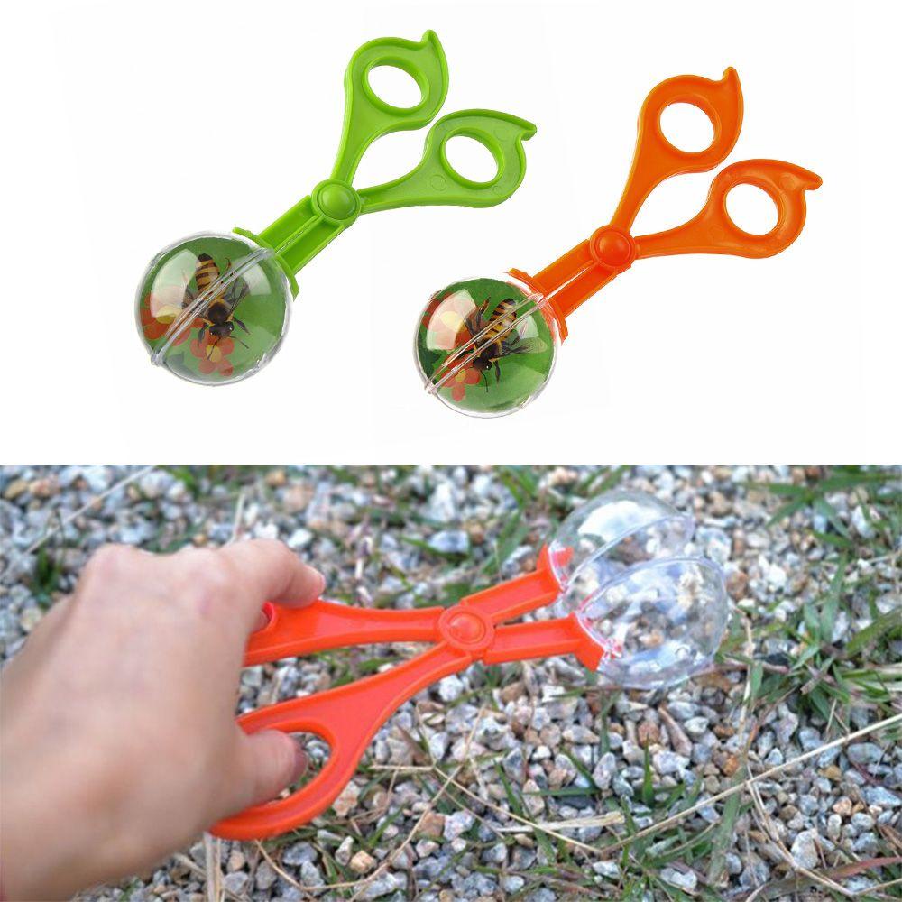 Kẹp Bướm Bắt Côn Trùng Đồ Chơi Ngoài Trời