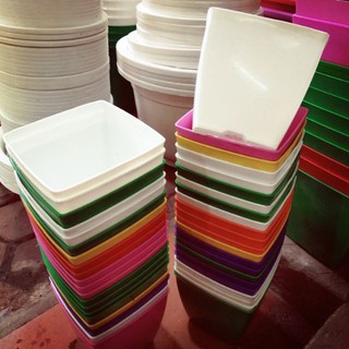 Chậu cây mini ( 1 chậu)
