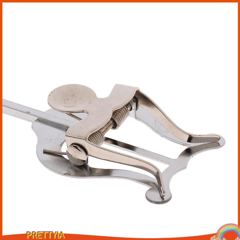 1 Kẹp Kèn Trumpet Lyre Du Lịch Cho Ban Ngày