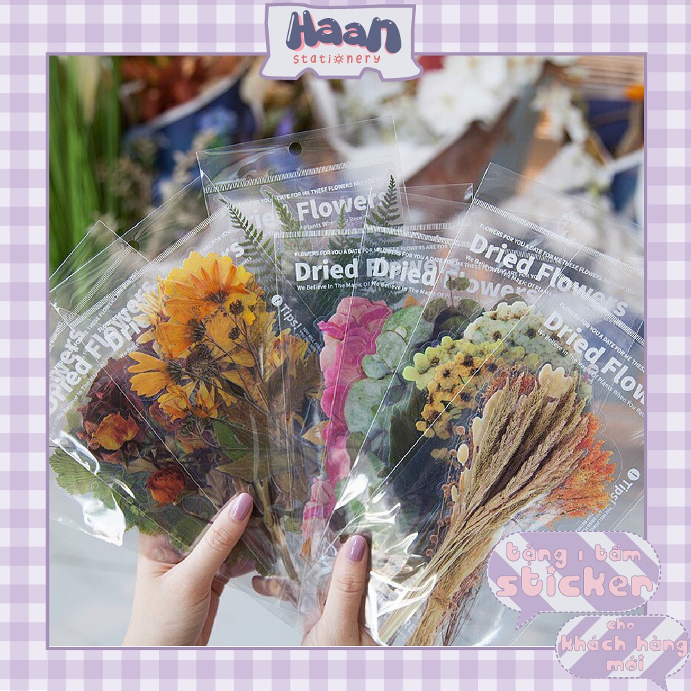 STICKER Hoa, Lá Ép Khô Trang Trí Set 6 tấm 10x20cm
