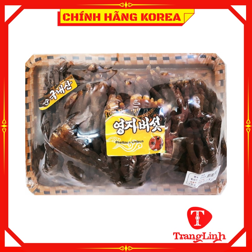 Nấm linh chi sừng hươu thượng hạng, hộp 0,5kg - Thải độc gan, thanh lọc cơ thể, phòng ung thư - tranglinhkorea