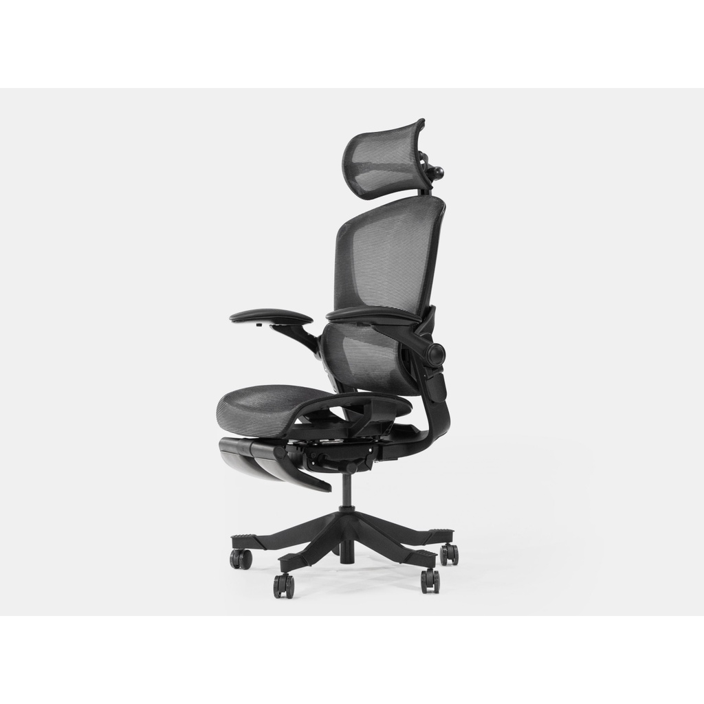 Ghế công thái học Epione Easy Chair - Hàng chính hãng